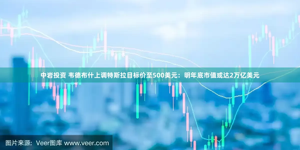 中岩投资 韦德布什上调特斯拉目标价至500美元：明年底市值或达2万亿美元