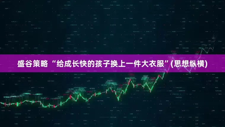 盛谷策略 “给成长快的孩子换上一件大衣服”(思想纵横)
